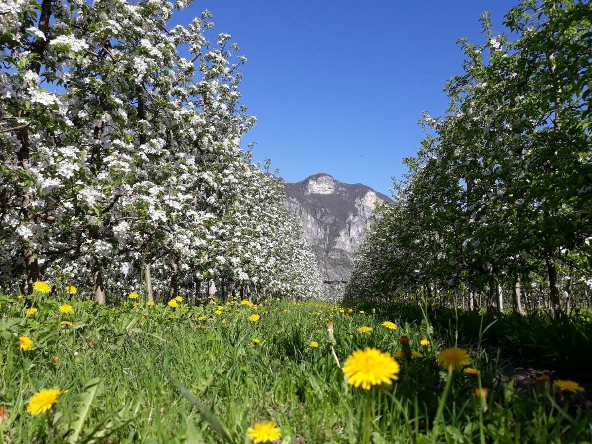 טרנטו Agriturismo L' Isola Di Arturo מראה חיצוני תמונה