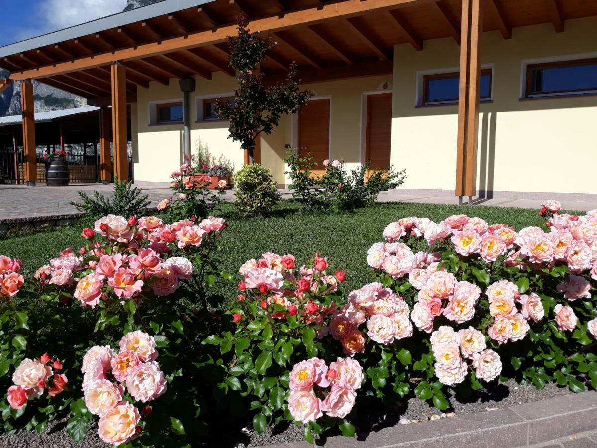טרנטו Agriturismo L' Isola Di Arturo מראה חיצוני תמונה